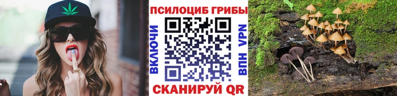 Псилоцибиновые грибы Cubensis  как найти закладки  Спасск 
